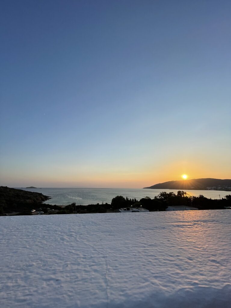 Villa Maniati in Andros 42