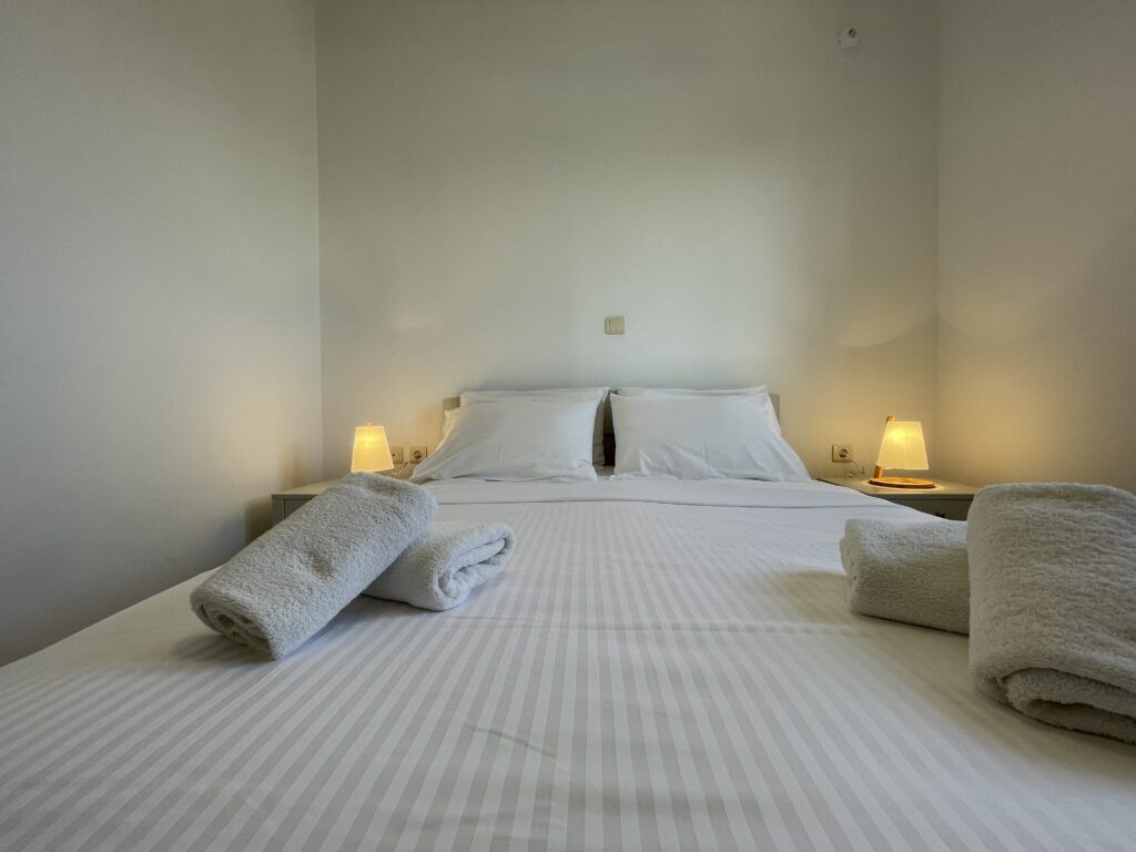 Villa Maniati in Andros 47