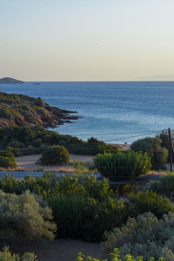 Villa Maniati in Andros Balconies 81