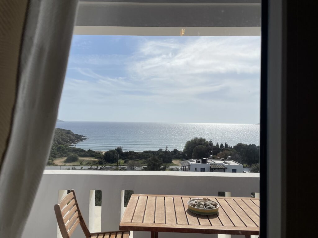 Villa Maniati in Andros Balconies 86