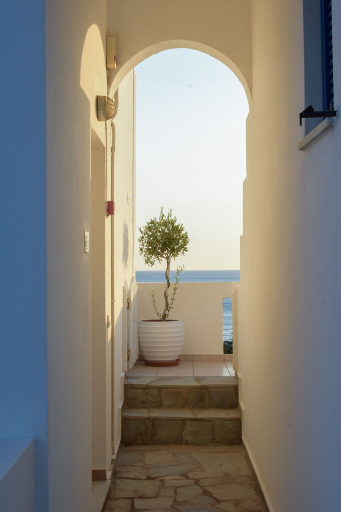 Villa Maniati in Andros Outdoors 068