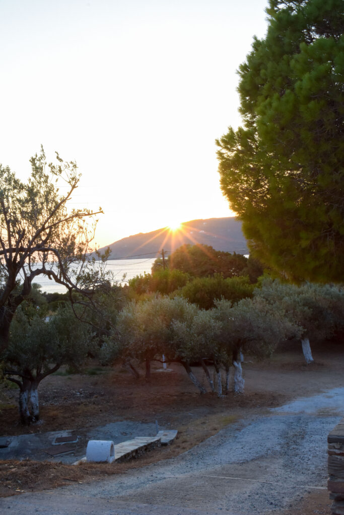 Villa Maniati in Andros Outdoors 075
