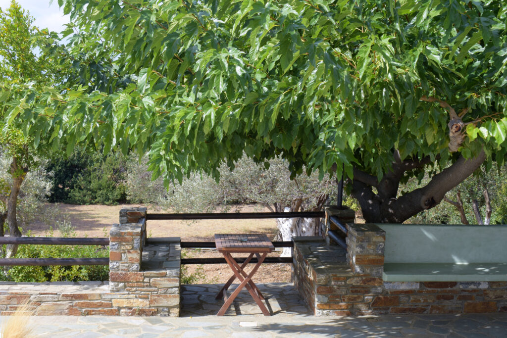 Villa Maniati in Andros Outdoors 089