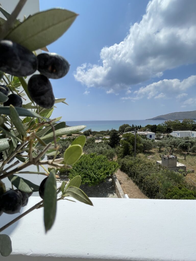 Villa Maniati in Andros Outdoors 091