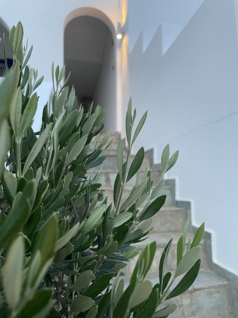 Villa Maniati in Andros Outdoors 095