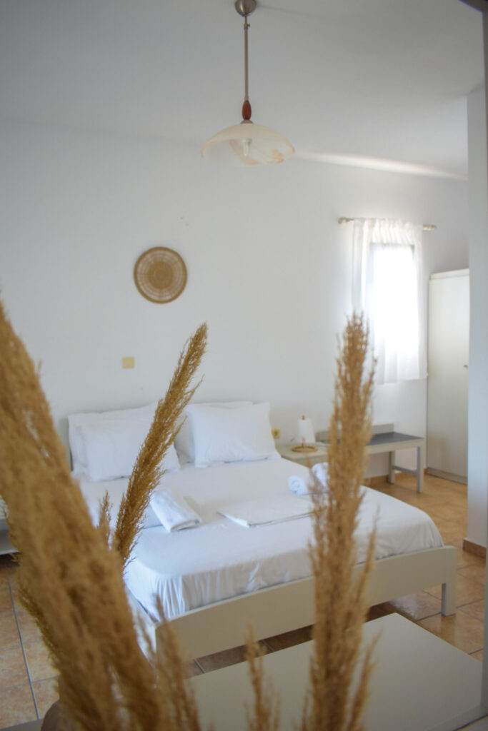 Villa Maniati in Andros Apartments 081 scaled.jpg